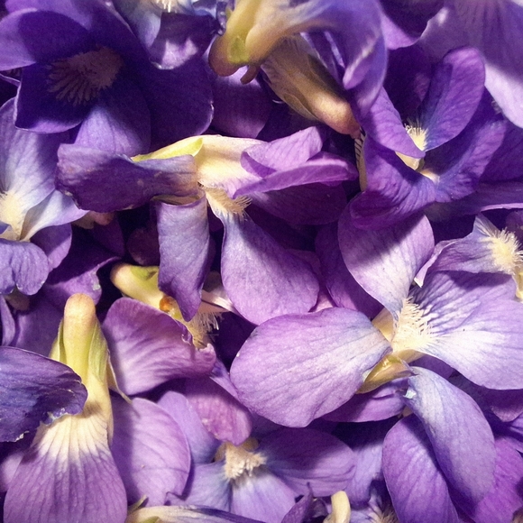 Meet Your Posher ❤️🧡💛💚💙🩵💜🖤🤎🩵🩷🤍 - Picture 12 of 16